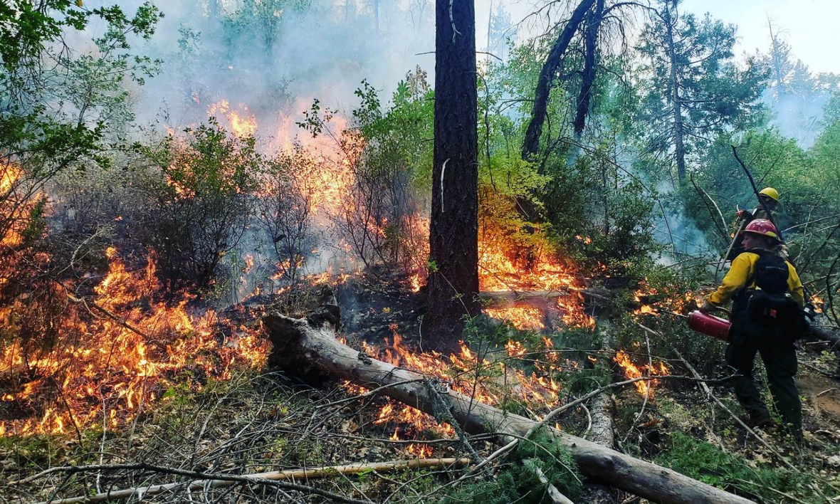 Staying Prepared Year-Round: Gear Up for Wildfire Season and Beyond