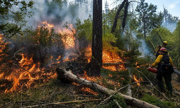 Staying Prepared Year-Round: Gear Up for Wildfire Season and Beyond